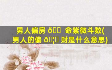 男人偏房 🐠 命紫微斗数(男人的偏 🦅 财是什么意思)